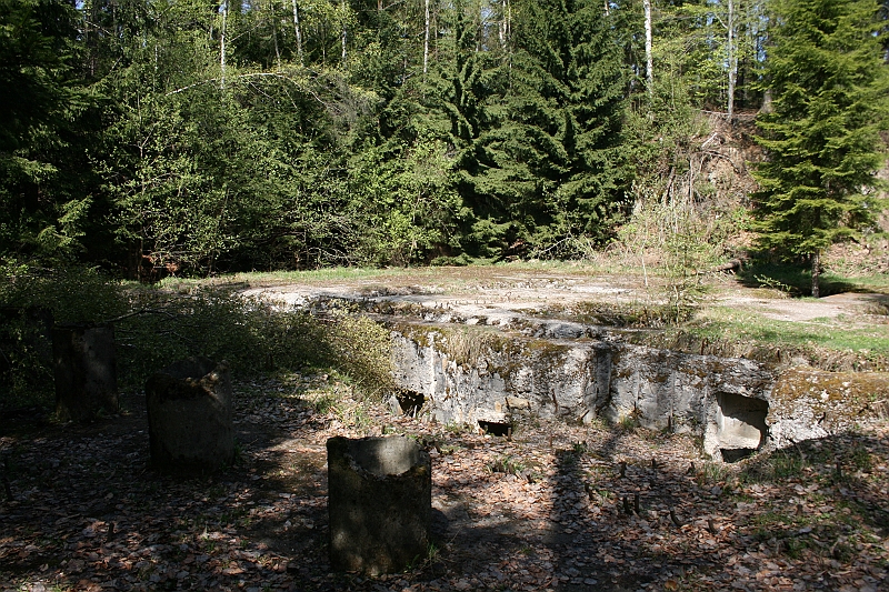 a 316